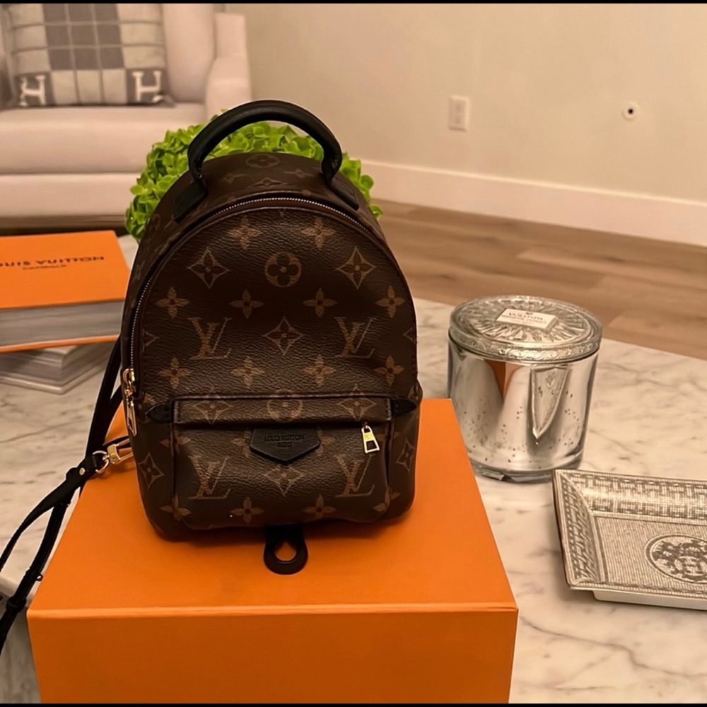 Louis Vuttion palm spring mini